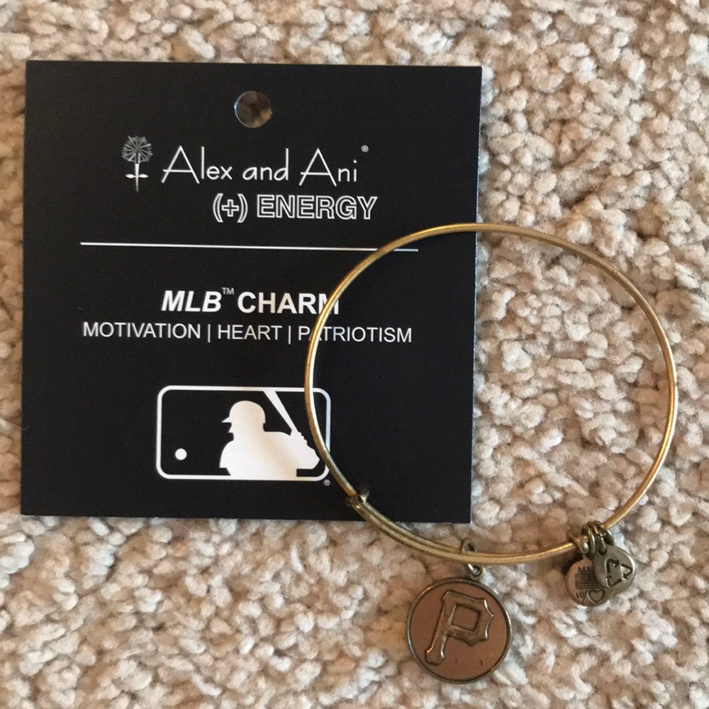 Alex and Ani charm bracelet